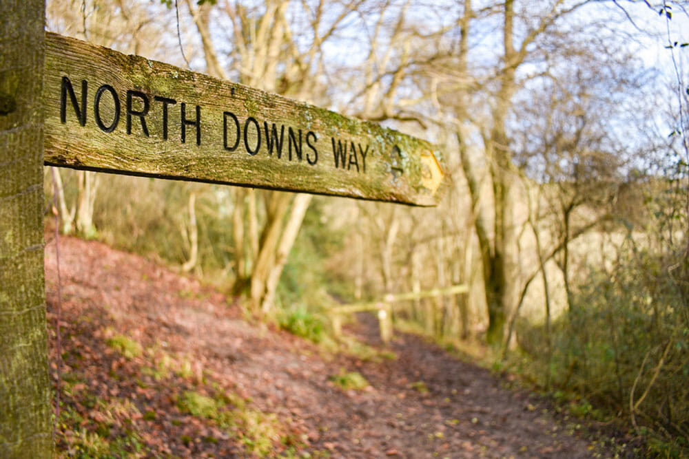 North Downs Way – Planning England’s Most Underrated National Trail (2025)